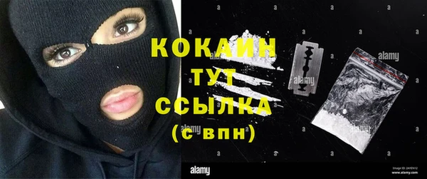 соль курить ск Дмитровск