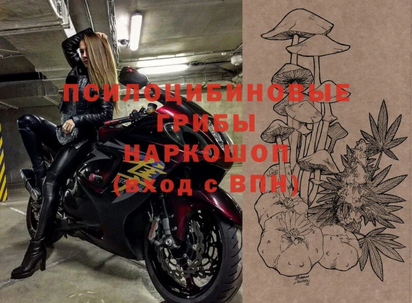 PSILOCYBIN Дмитриев