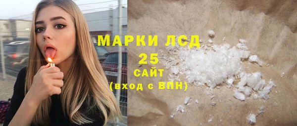 PSILOCYBIN Дмитриев