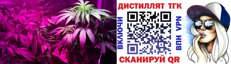 Купить  Прокопьевск  Дистиллят ТГК THC oil 